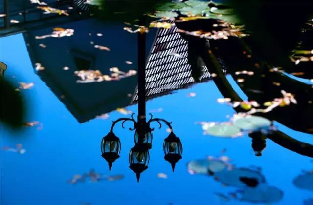 文艺大叔租下8亩林场，花16年种花养草，如今惊艳世人，连美国杂志都给他点赞-186