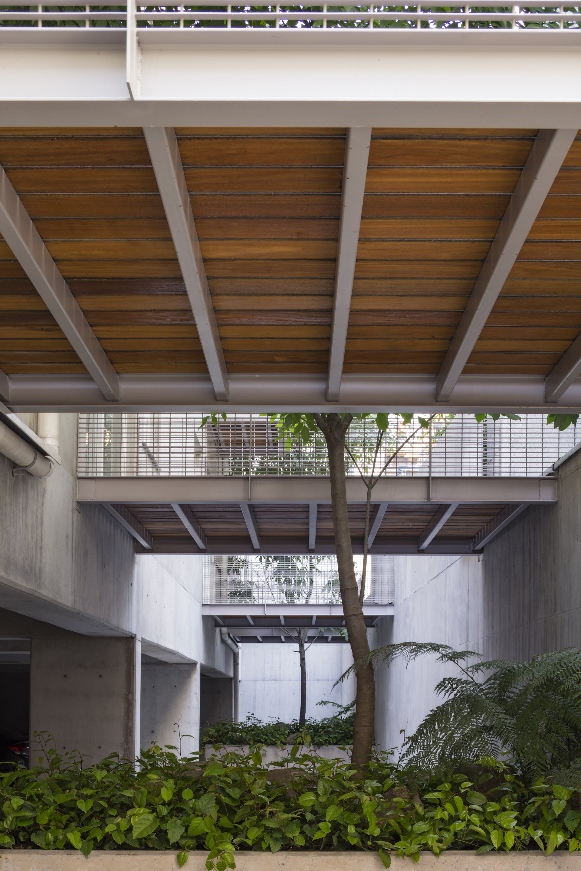 墨西哥城住宅楼丨Vicente Alonso Ibarra-22