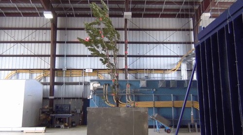 第四代住房「垂直森林」来了,竟在中国遍地开花!网友:蚊子太多,住不起......-77