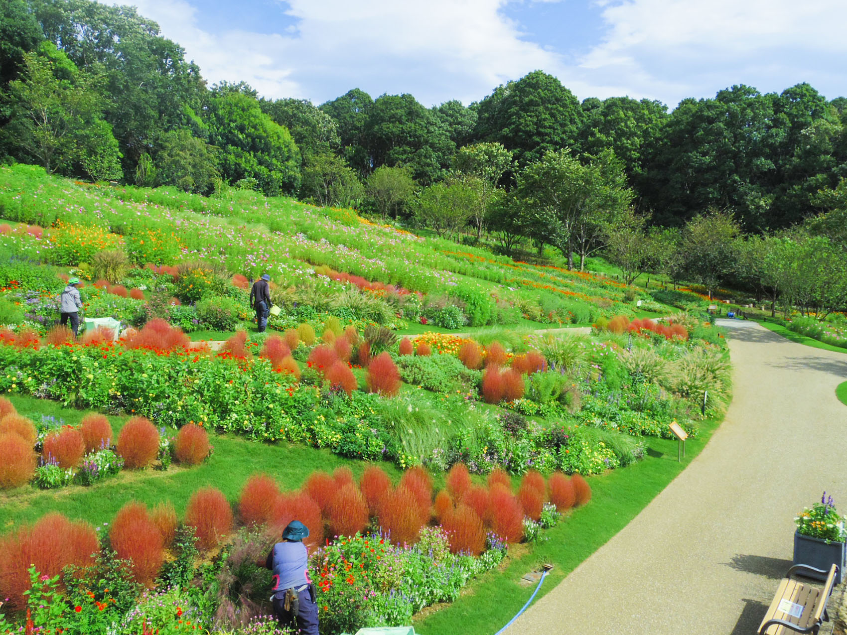 日本里山花园丨户田芳树风景计画-25