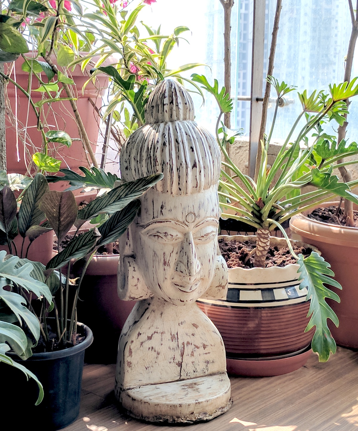 孟买阳台花园改造-29