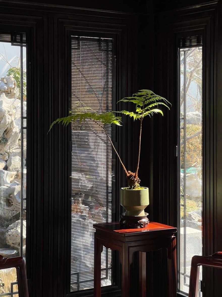 深圳华侨城创想大厦,深圳招华红山6979等超600项工程丨中国北京丨戴勇设计-125