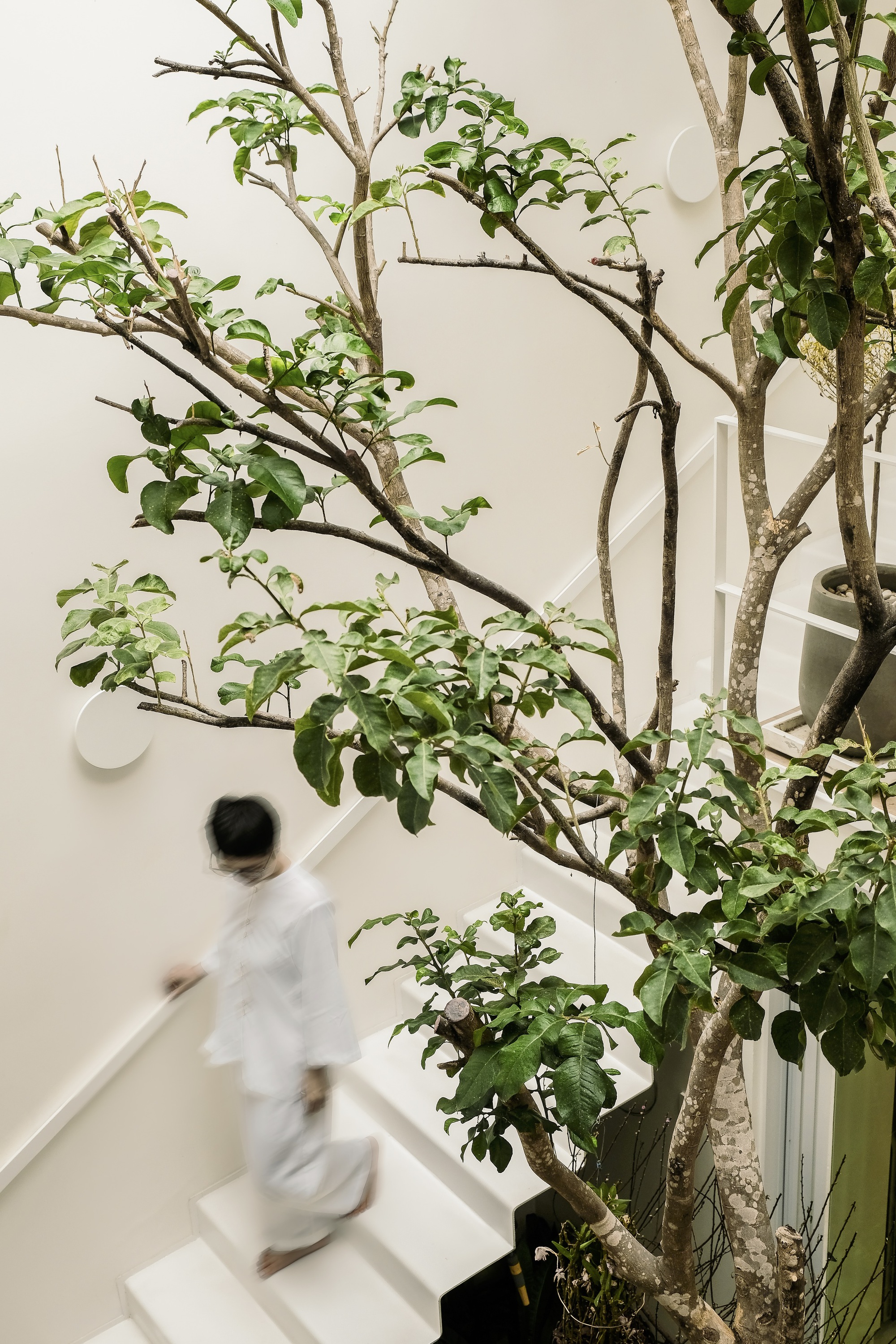 巴普的房子丨越南丨90+2 architects-9