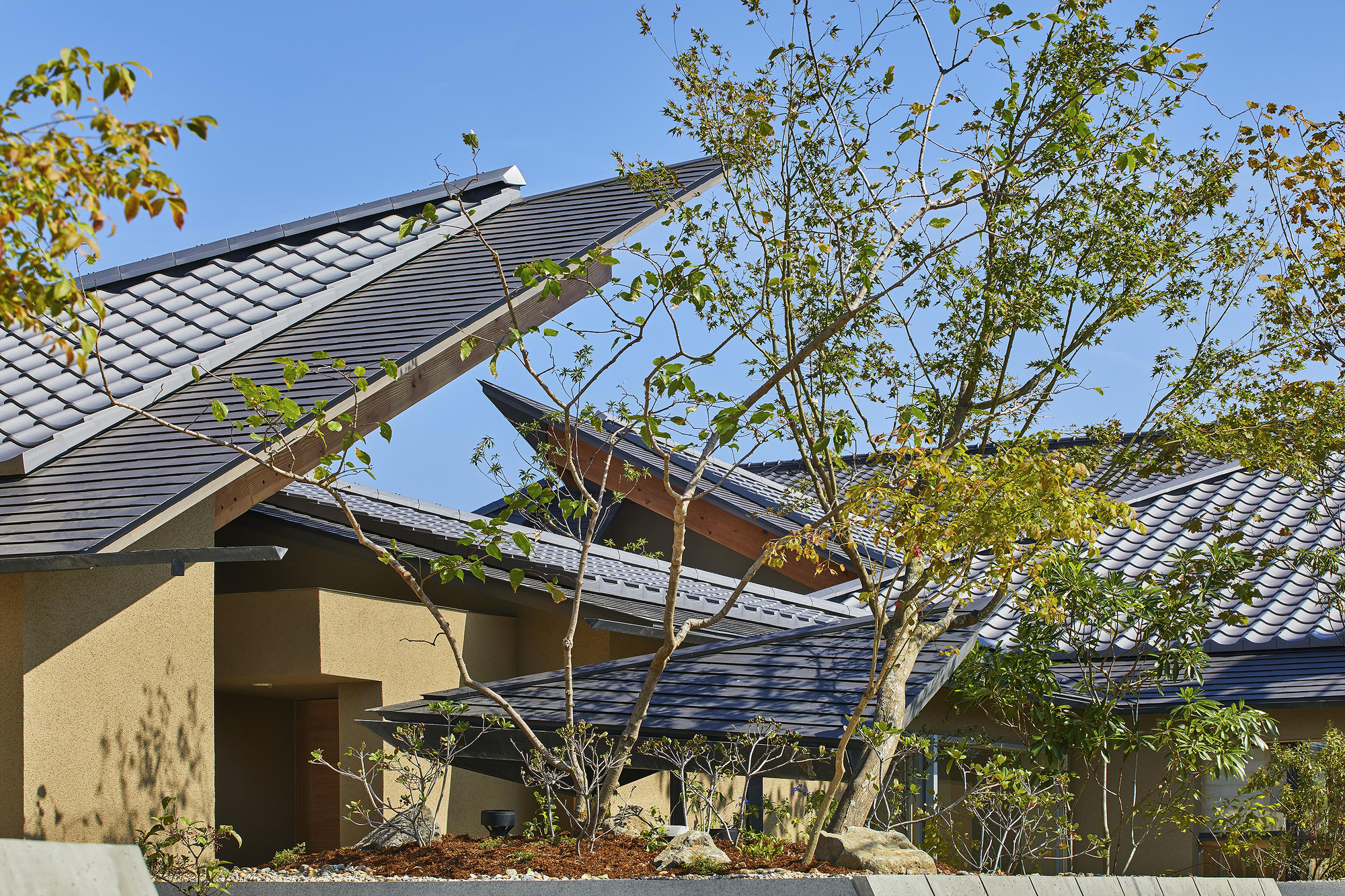 蝴蝶住宅丨日本丨UID Architects-24