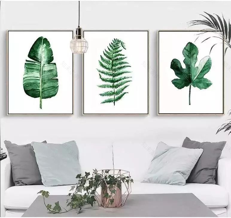 绿色植物装饰画,为家增添自然清新之美-27