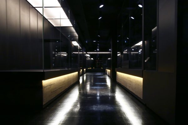 奥尔良生物多样性与环境博物馆生土展示台项目丨法国奥尔良-30