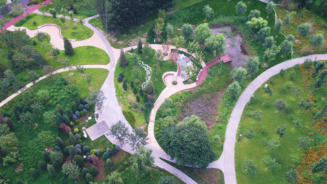 【匠心设计】“绿心”跃动，绘就北京城市副中心生态和谐画卷-7