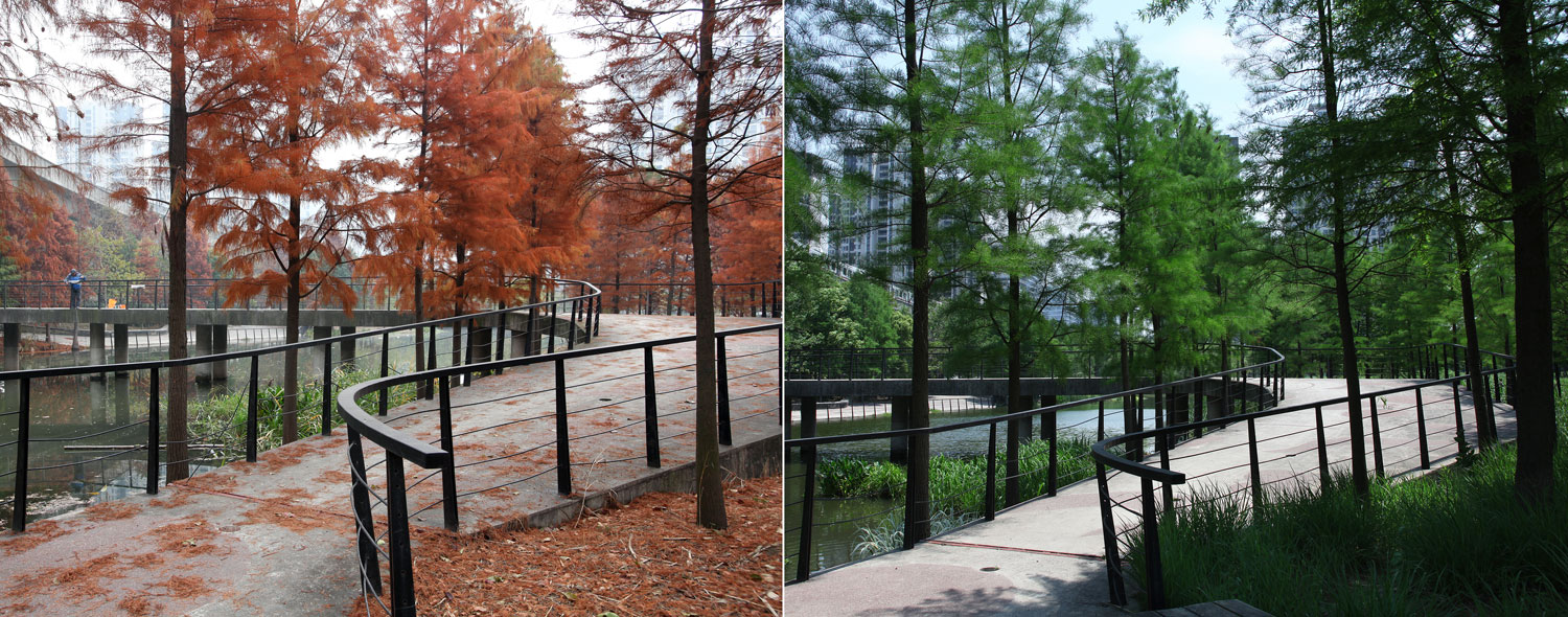 嘉定石冈门塘湿地公园-4