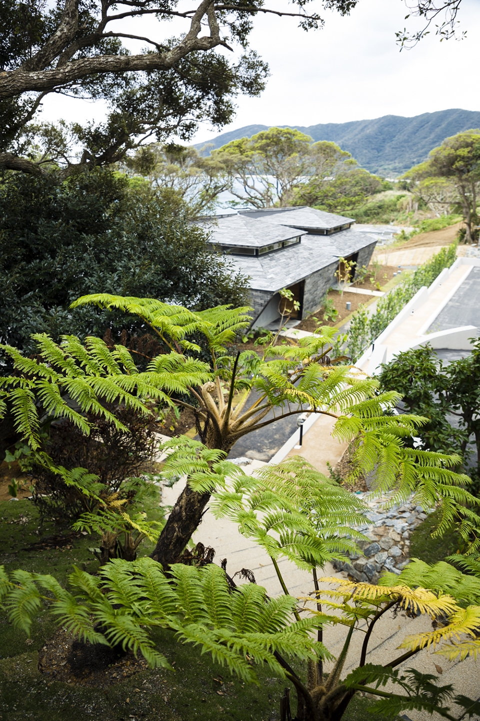 奄美岛海滩别墅(Yasuhiro Yamashita + Atelier TEKUTO + Amami Design Firm)-87