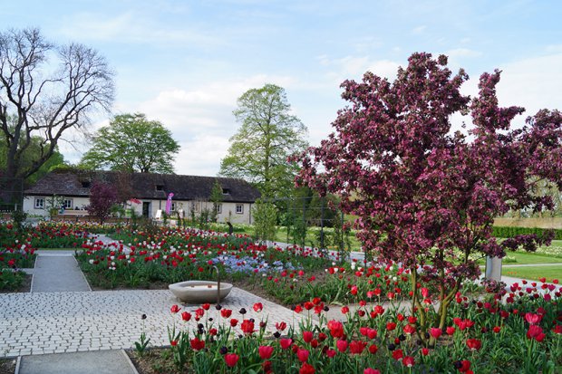 2023 年霍特尔州立花园展

注：Hö·ter可能是一个特定地点名称，若有更准确的信息或标准译法，可按需调整 丨Büro Christian Meyer-2