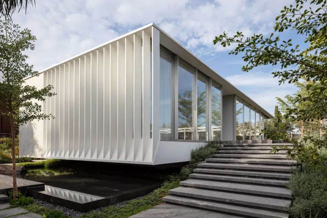 以色列 MA 独栋住宅丨Pitsou Kedem 建筑事务所-34