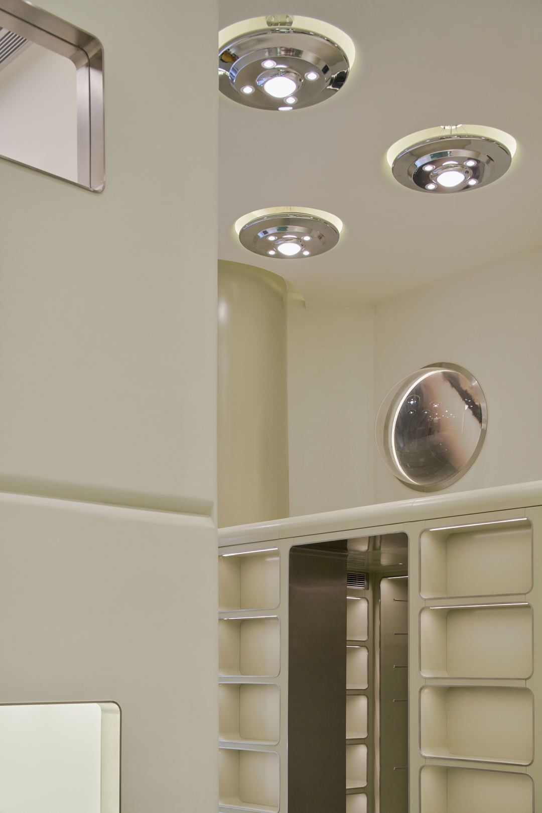 bibu宠物店丨中国广州丨今朝风日好ofD-19