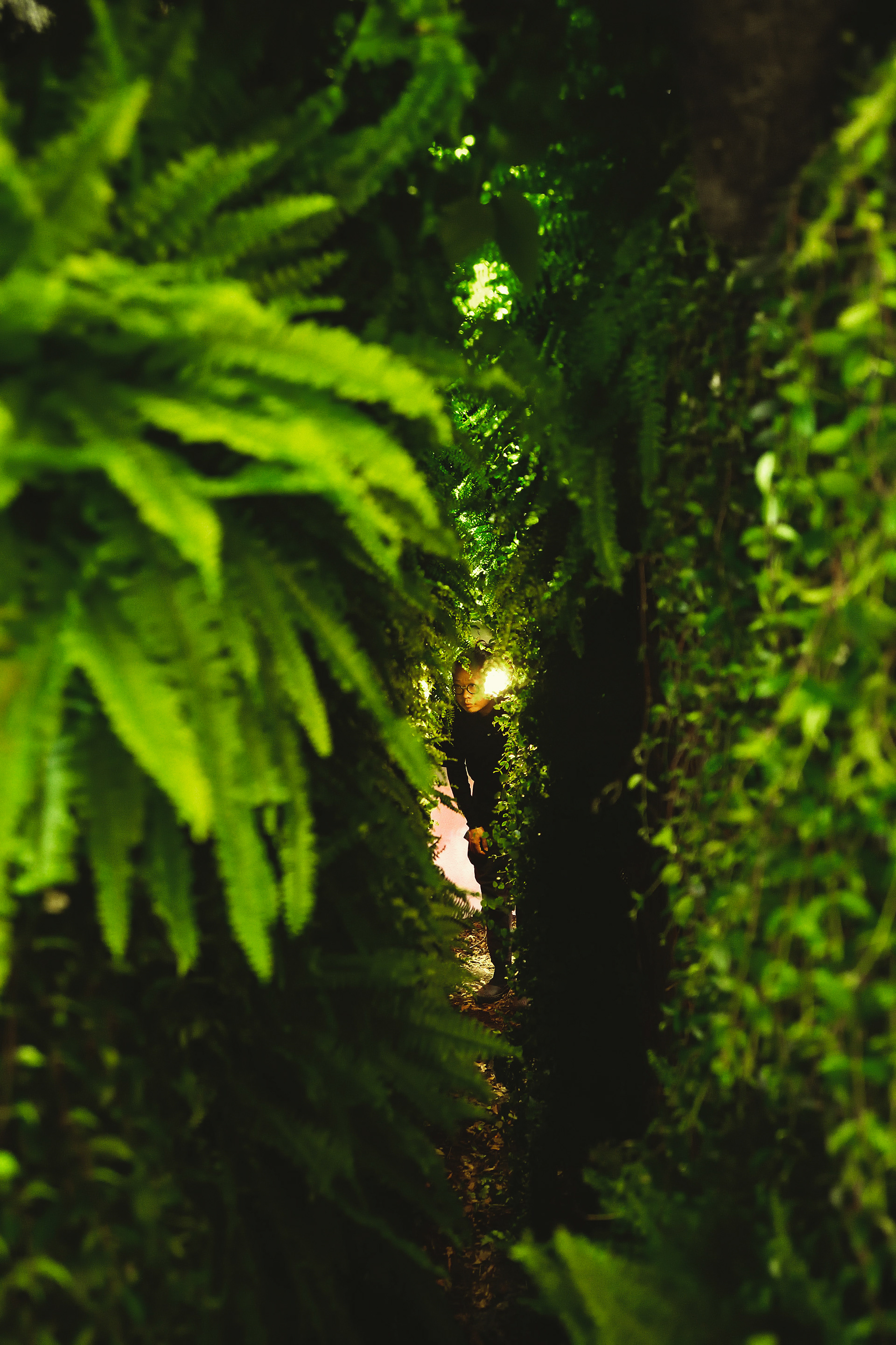 走桃花 RUNNING TAOYUAN丨格式设计展策-33