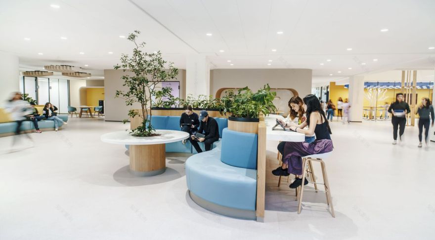 人文树学校蜂巢与飞行丨墨西哥墨西哥城丨Rosan Bosch Studio-20