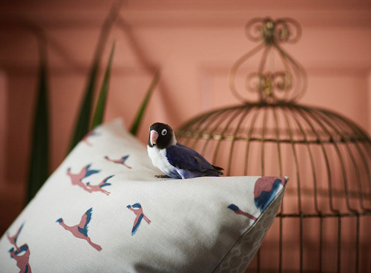 IKEA 秋季新系列 | 暗色调的北欧风情-8