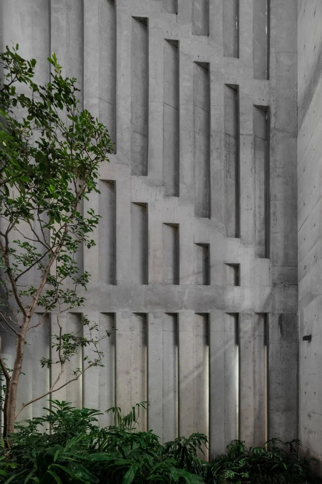 Progreso 地质博物馆与 CRA 住宅丨墨西哥丨Estudio MMX-59