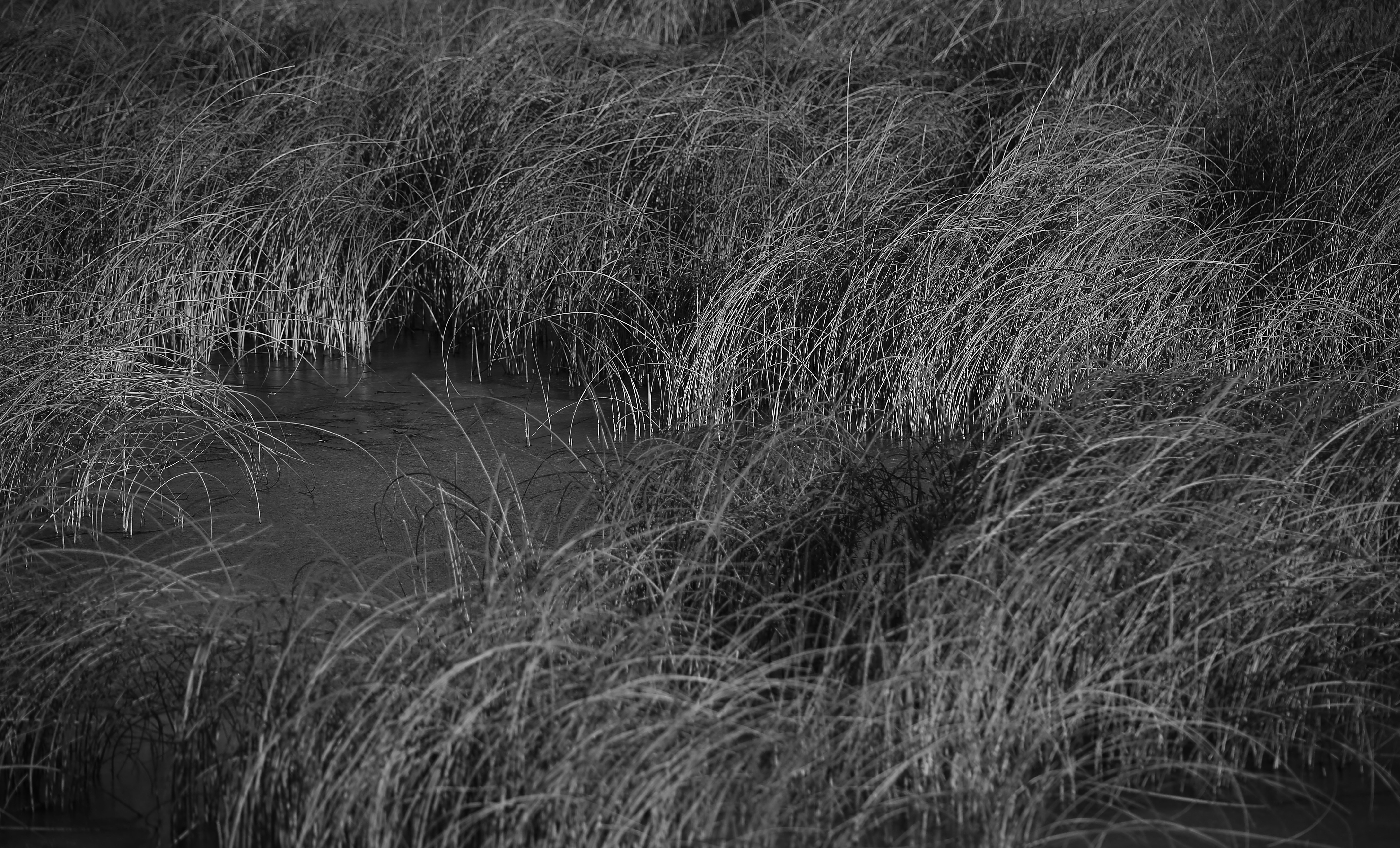 A Winter's Day（冬日）-12