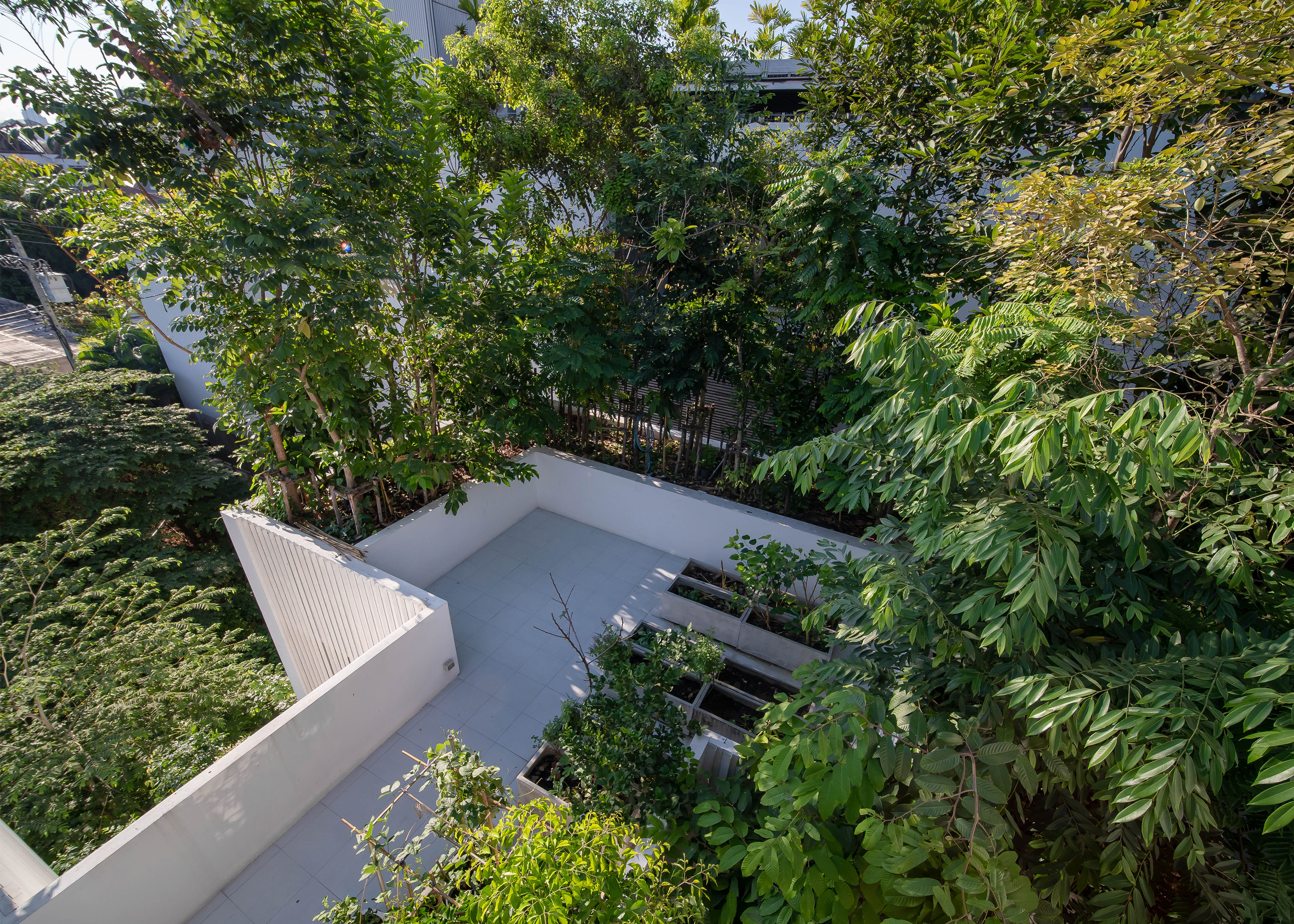 Forested House | Shma Company Limited-34