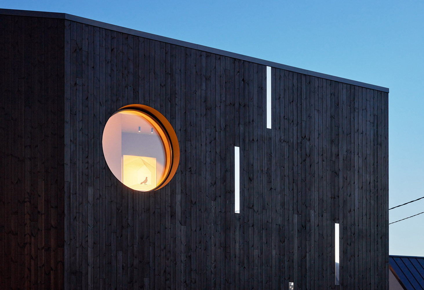 鸟巢之屋丨立陶宛维尔纽斯丨YCL Studio-29