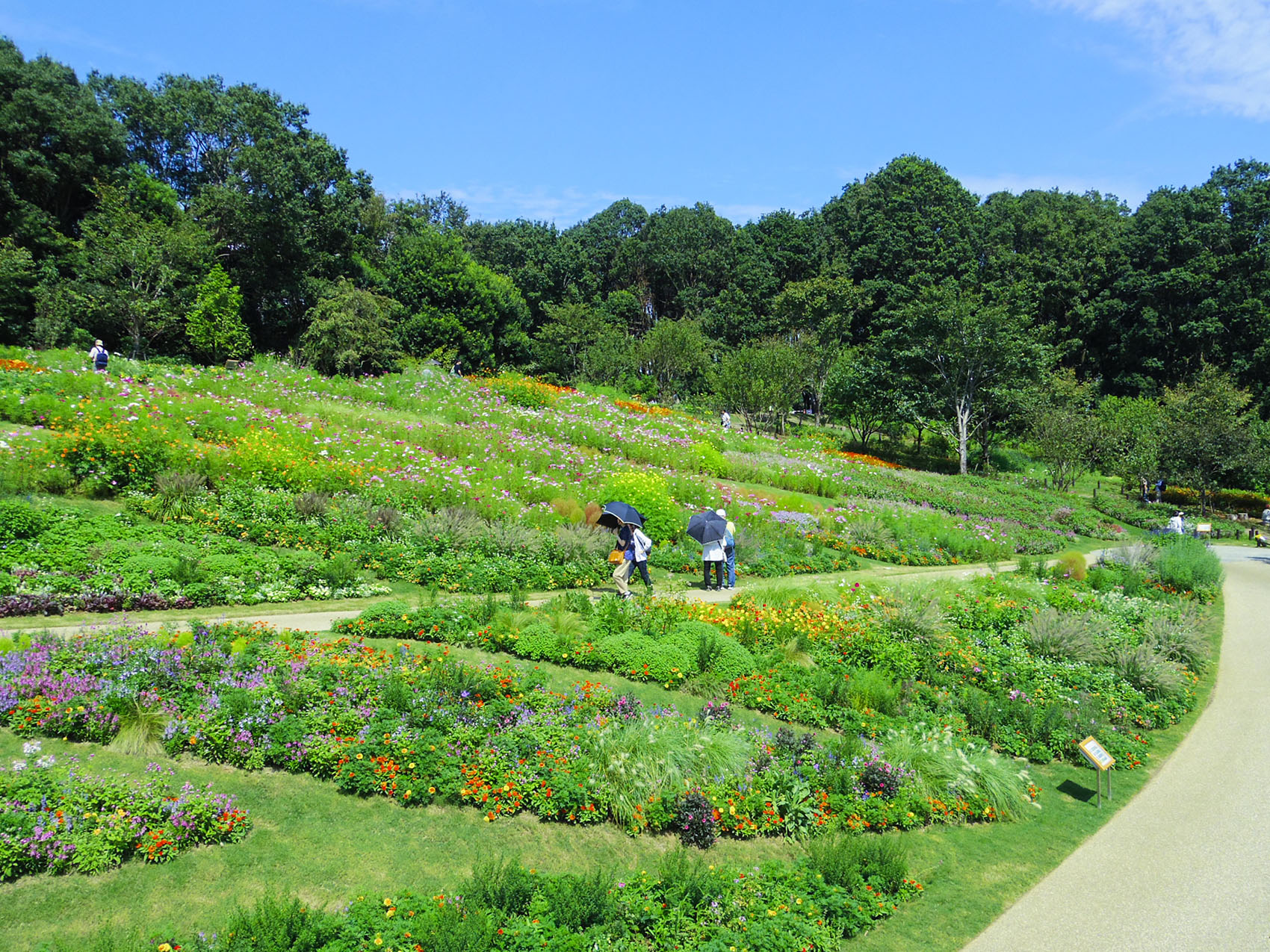日本里山花园丨户田芳树风景计画-51