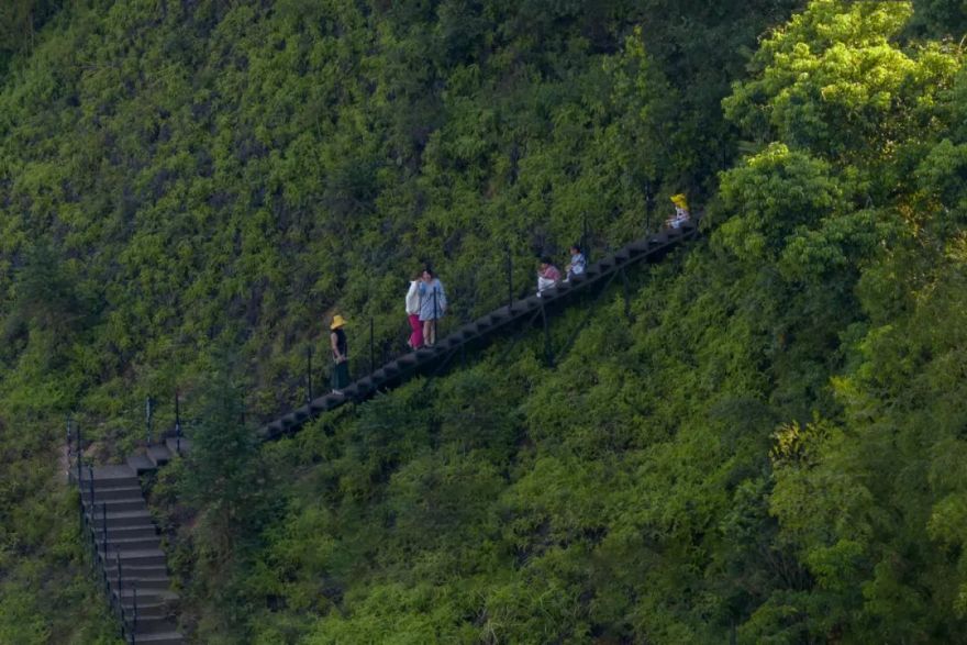 傍山麓野 | 长沙麓隐青竹湖-84