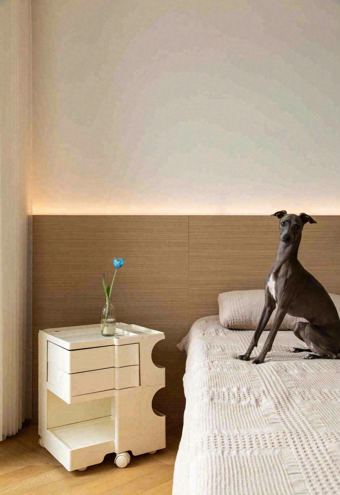 绿地璀璨天城 107㎡实景-19