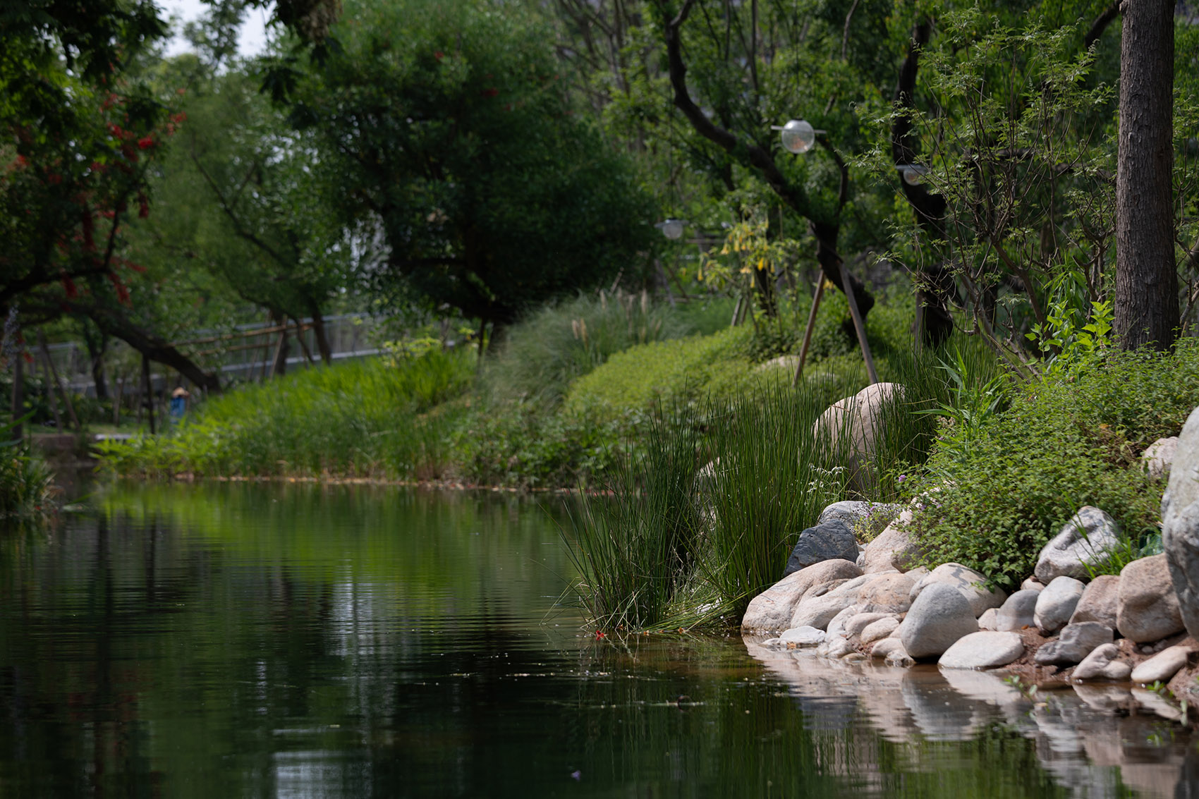 成都麓湖生态城仙踪公园丨中国成都丨WTD纬图设计-59