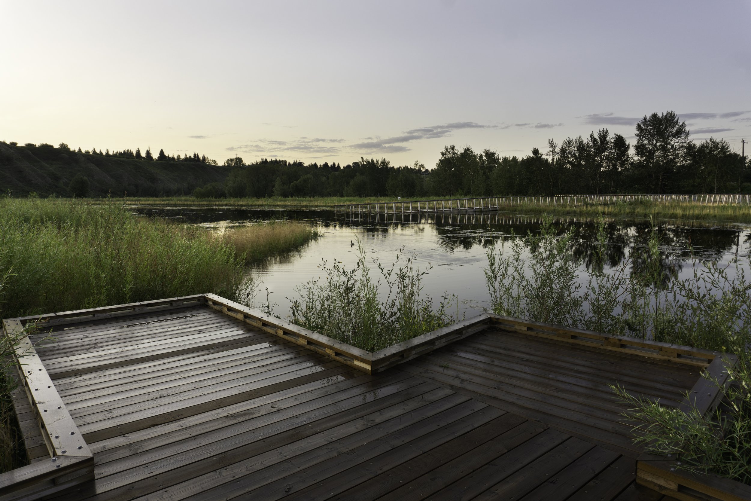 泰斯医疗中心赫利公园丨美国德克萨斯丨mikyoung kim design-49