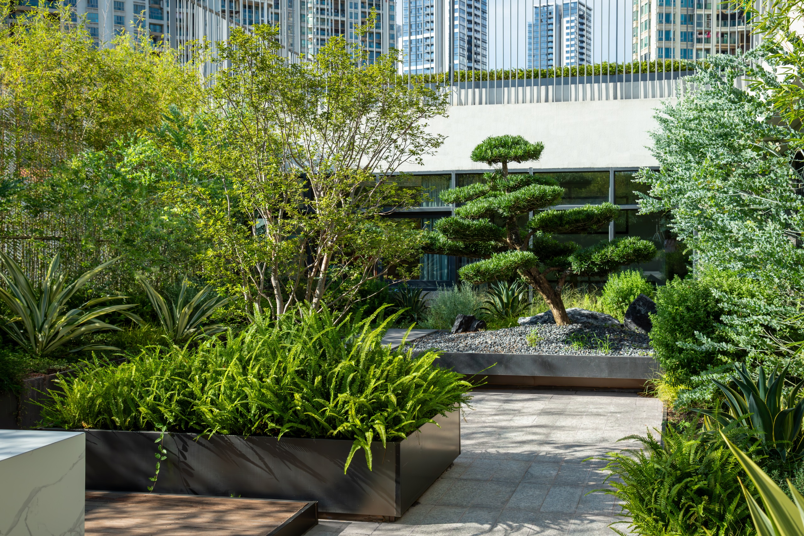 深圳市宝安中学(集团)海天学校丨中国深圳丨HILL 希尔景观-123