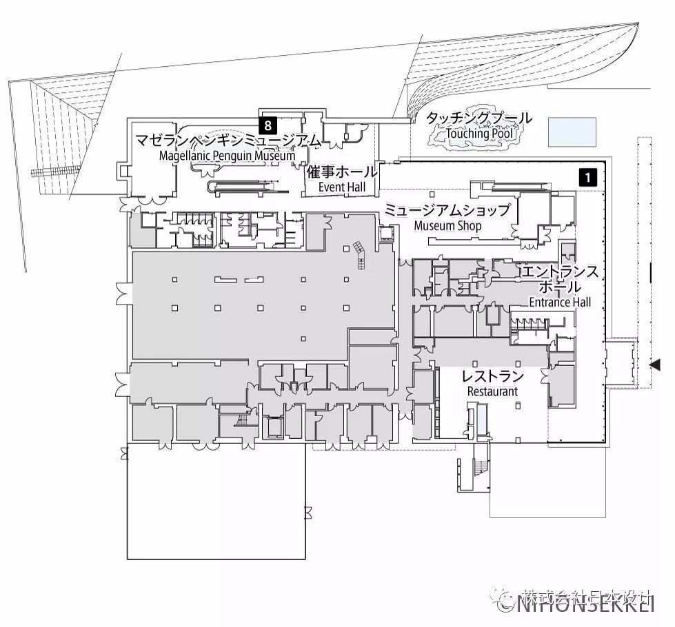 上越市立水族博物馆 | 沉浸式体验日本海的壮美海景-18