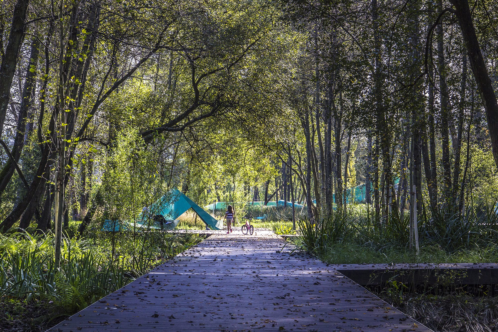 森林里的蓝色折纸公园丨葡萄牙波尔图丨Oh!Land studio-12