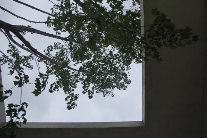 自然之韵 | 户粒咖啡的永智农场二期项目-35