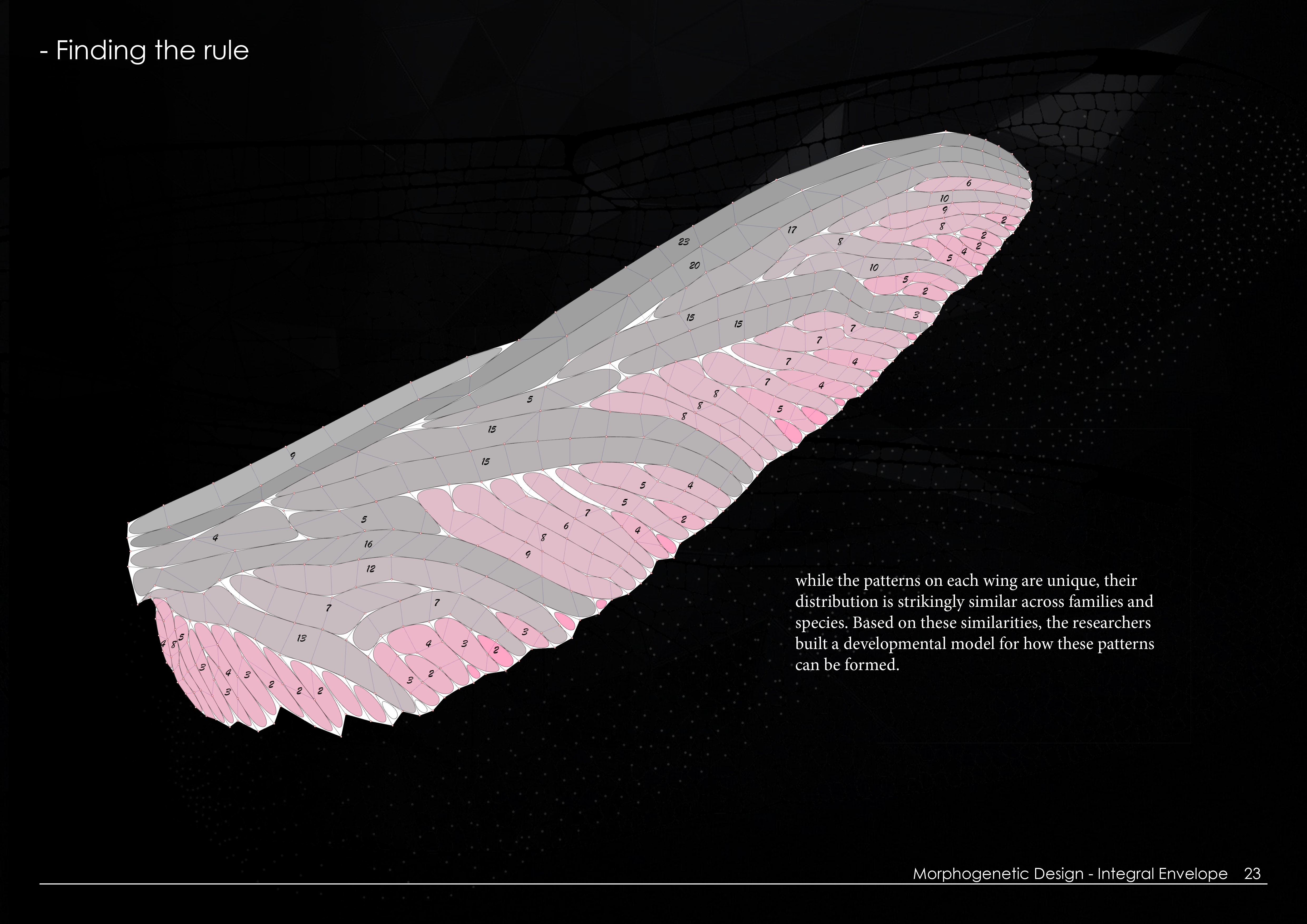 Morphogenetic Design - Integral Envelope July 2020-12