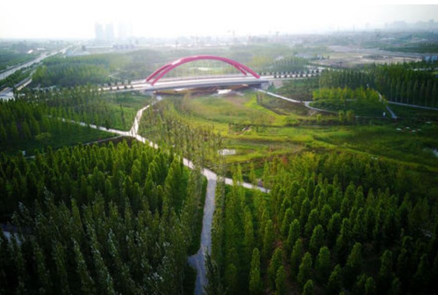 英国友人冒雨打卡海绵城市,意景设计师陪同揭秘海绵城市的“中国答案”-17