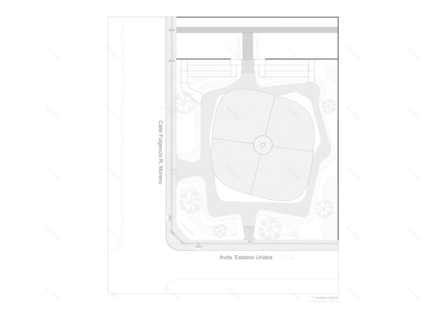 阿米巴分公司(注:Ameba常见指阿米巴,Branch有分公司、分支机构之意,结合常见语境如此翻译) 丨巴拉圭丨BAUEN-40