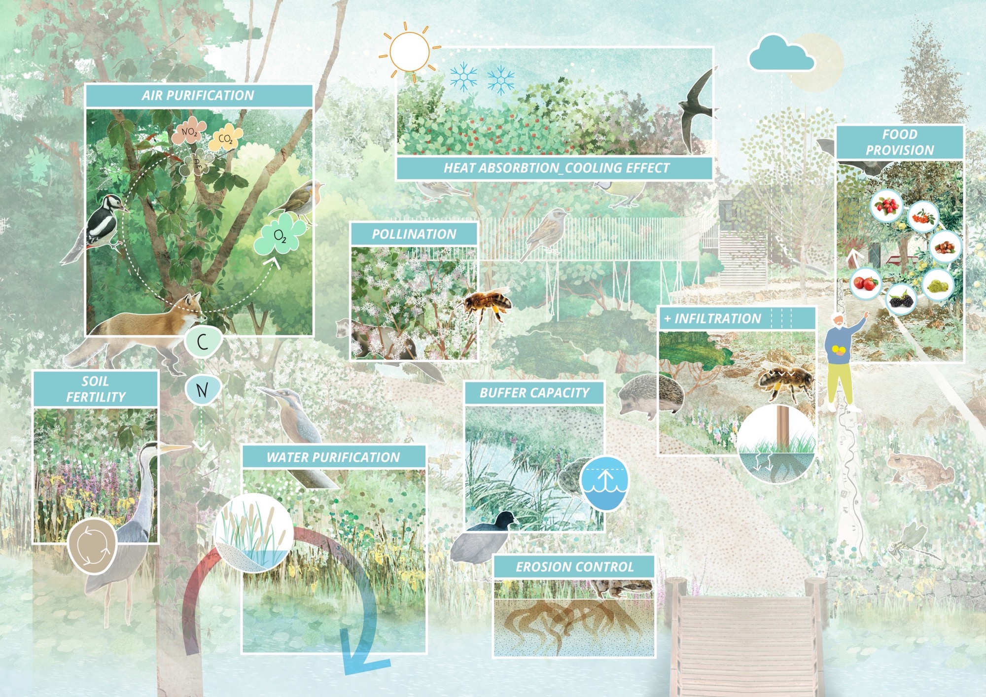 荷兰 Rijnvliet 可食社区丨荷兰乌得勒支-4