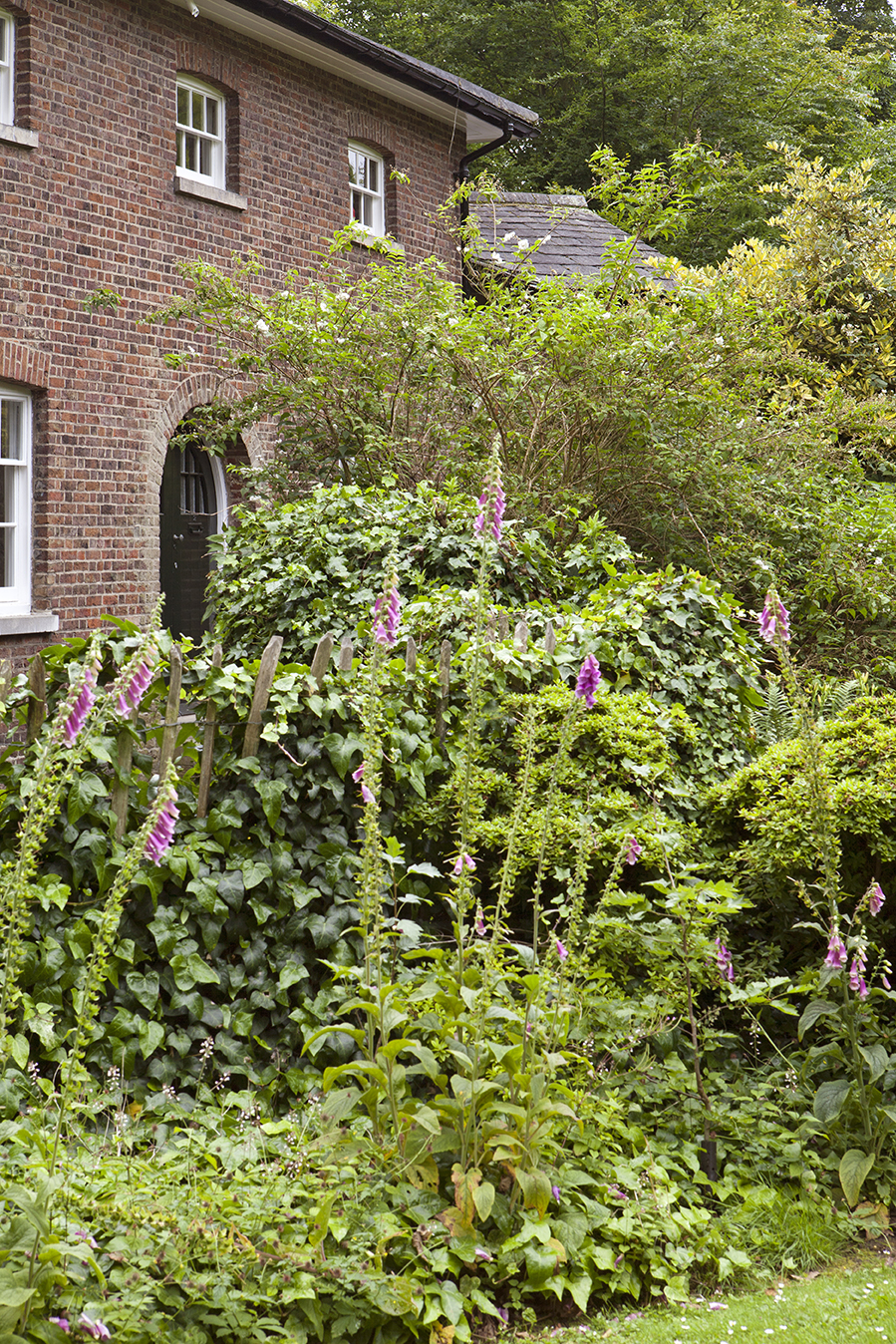 LONDON HAMPSTEAD Stefano Dorata-6