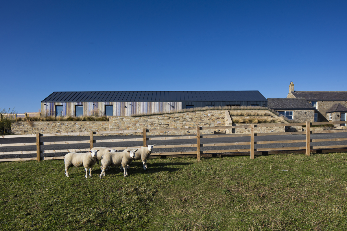 草地上的托儿所，英国 / MailenDesign-17