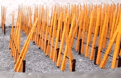 仿生美学 | 景观设计的新视角-44