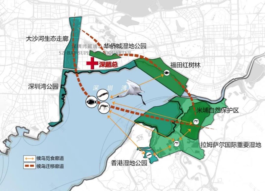 深圳湾超级总部基地夜景灯光,城市意象,无障碍设计丨中国深圳丨深超总指挥部办公室-17