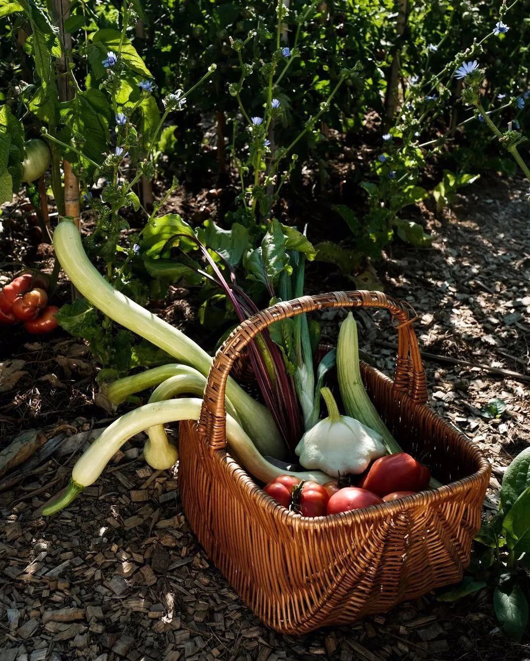 意大利千年古堡改造成奢华酒店,领略中世纪魅力-131