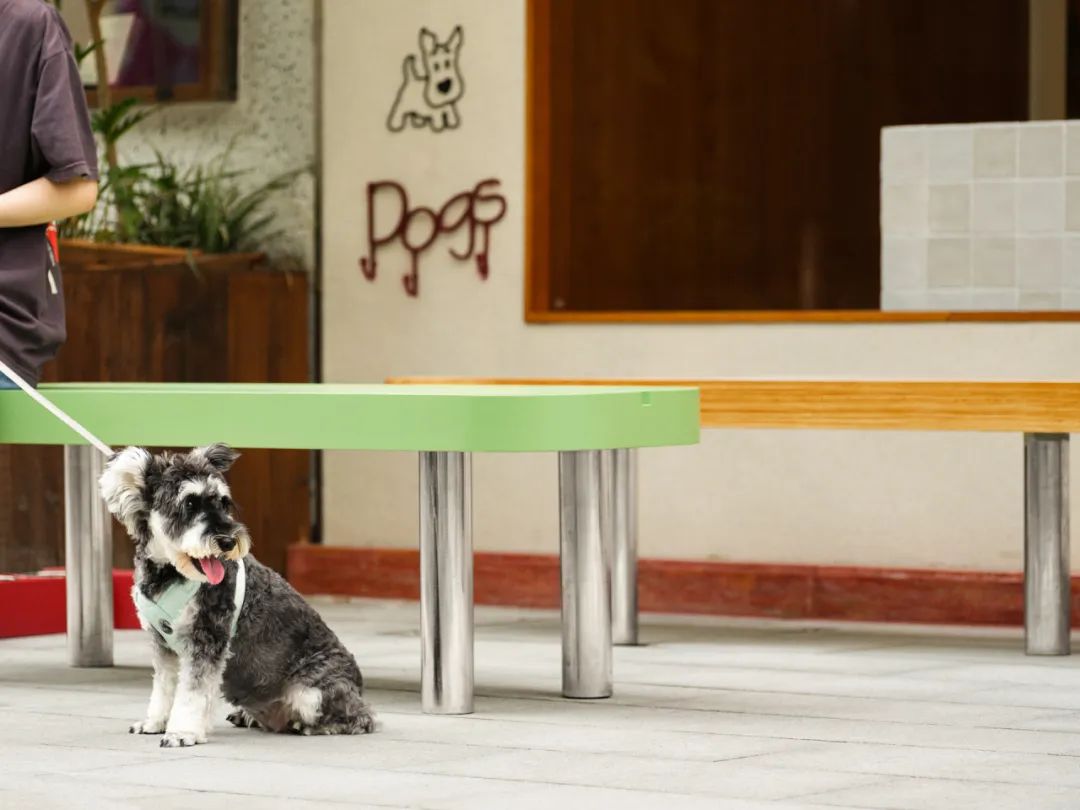 Tagi·成都塔皮屋丨中国成都丨GeemoDesign 治木设计-52