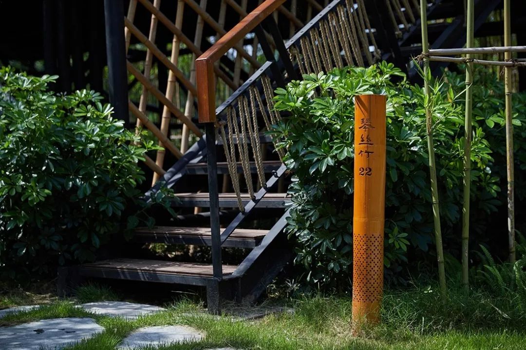 天府林盘·竹韵原乡 | 安仁林盘庄园-128