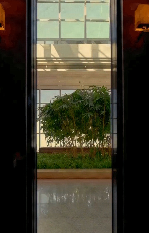 东京柏悦酒店焕新丨日本东京丨巴黎工作室Studio Jouin Manku-56