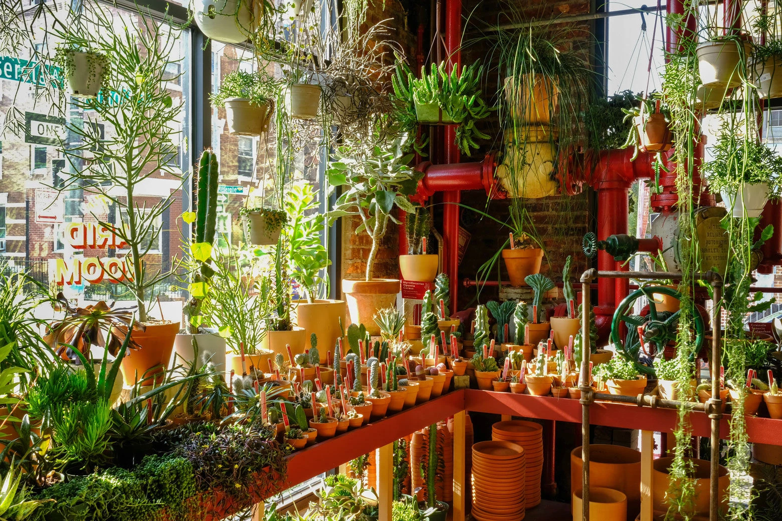 图拉植物与设计丨美国纽约-23