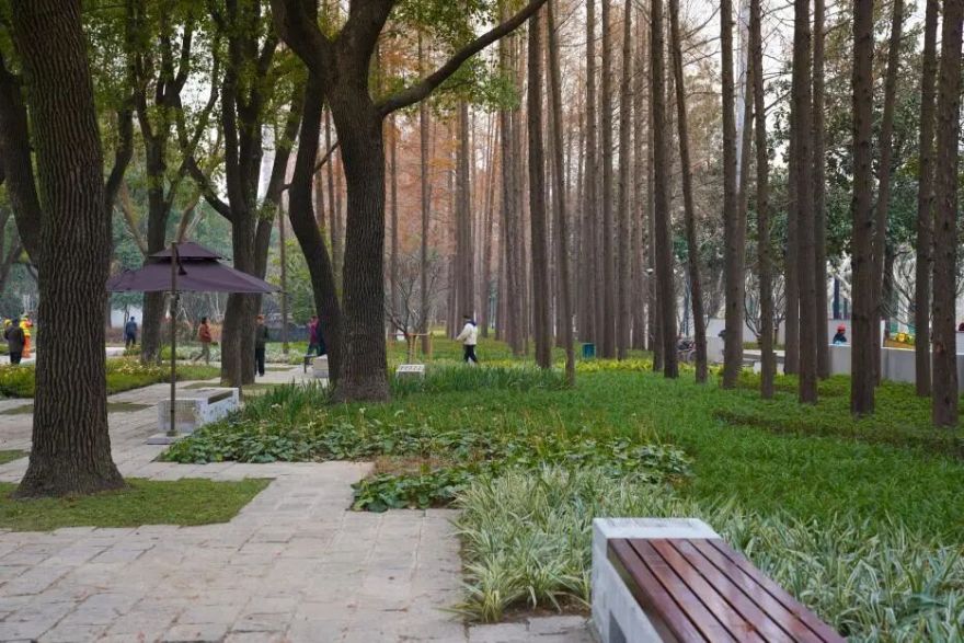 中国园林·理事专栏|“拓”之力量:杨浦公园改造纪实(三)-271