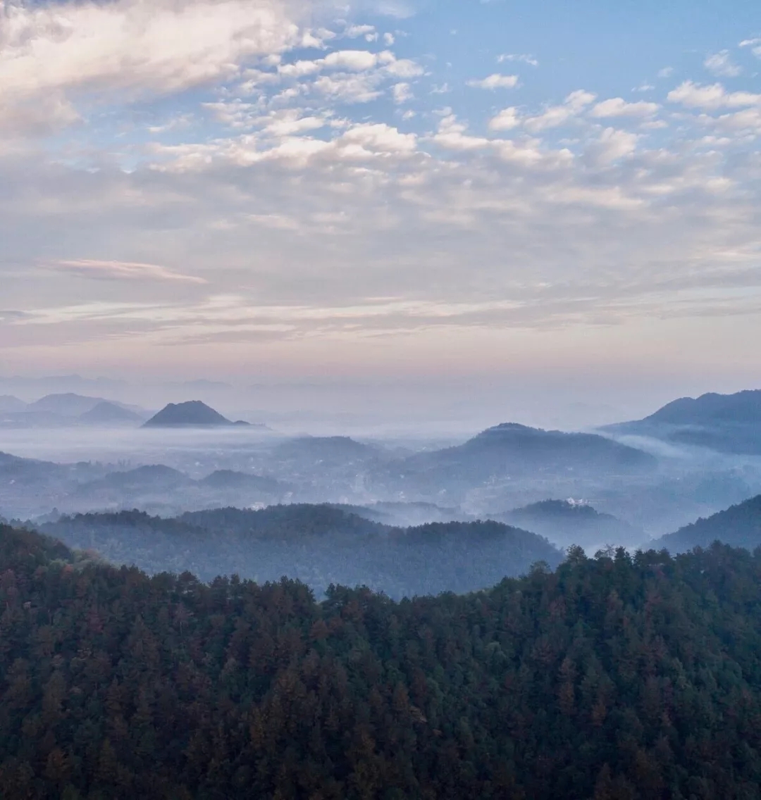 绿城安吉桃花源·方竹园-17