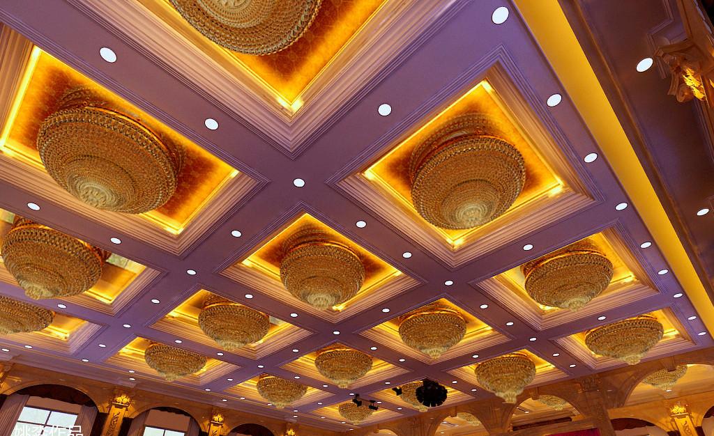 九星集团多功能厅-12