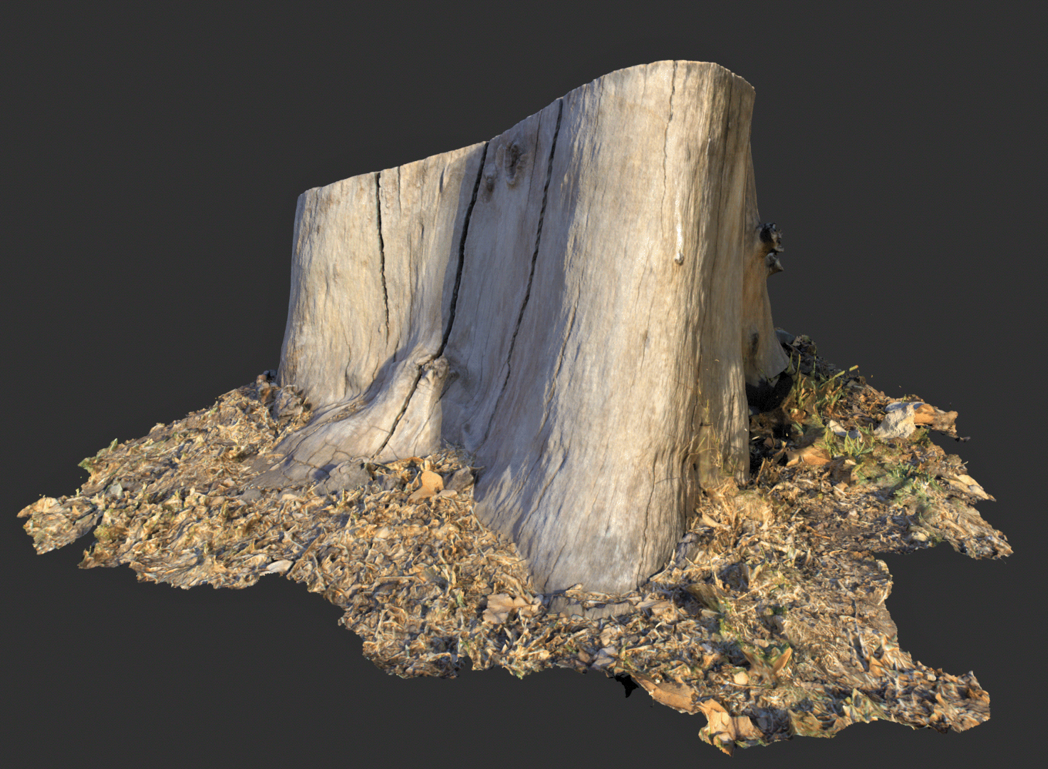 Tocón 建筑模型-30