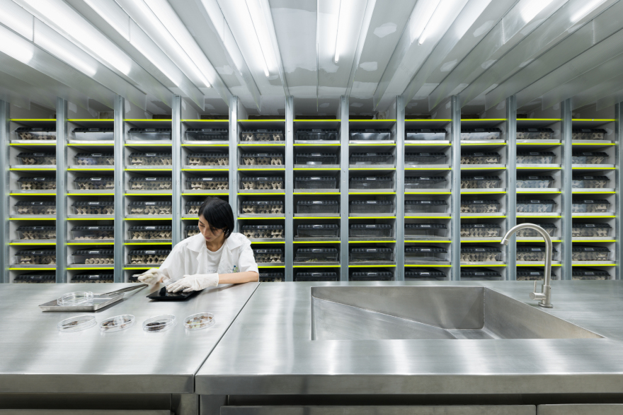 Exofood Retail and Lab / space+craft-13